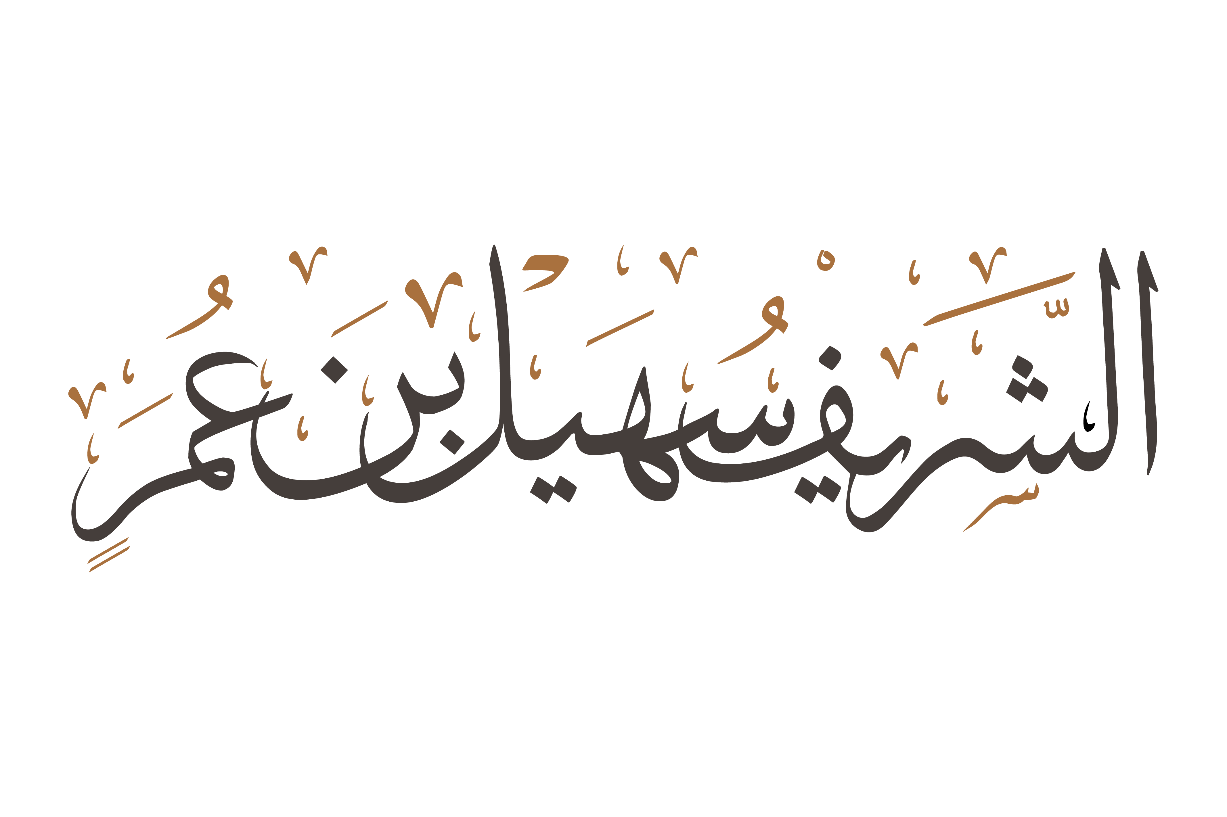 الجولة الخارجية